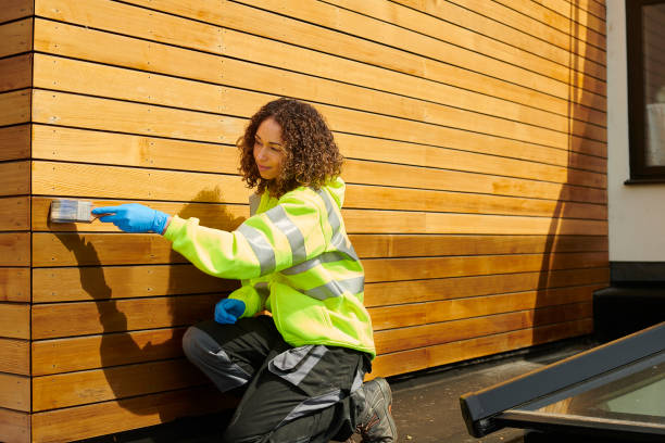Best Insulated Siding Installation  in Schuyler, NE